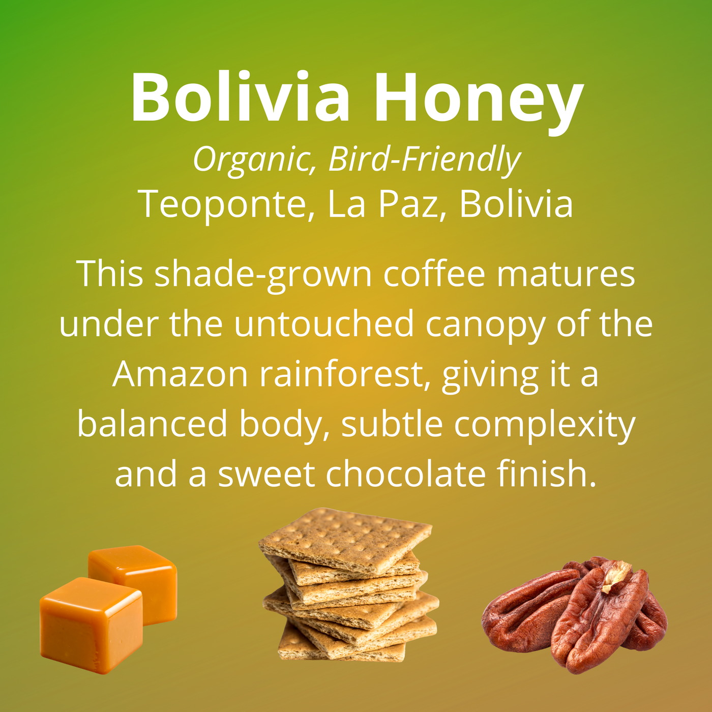 Bolivia Honey; organic, bird-friendly; grown in Teoponte, La Paz, Bolivia; this shade-grown coffee matures under the untouched canopy of the Amazon rainforest, giving it a balanced body, subtle complexity and a sweet chocolate finish; with tasting notes of caramel, honey graham crackers and pecans