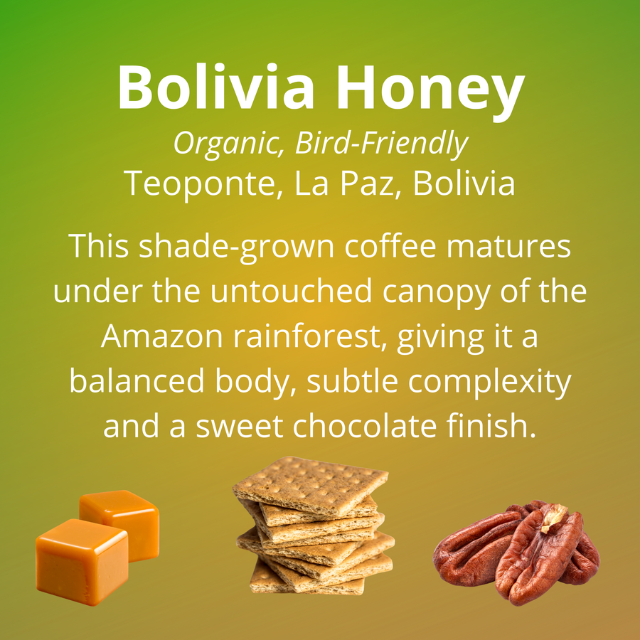 Bolivia Honey; organic, bird-friendly; grown in Teoponte, La Paz, Bolivia; this shade-grown coffee matures under the untouched canopy of the Amazon rainforest, giving it a balanced body, subtle complexity and a sweet chocolate finish; with tasting notes of caramel, honey graham crackers and pecans