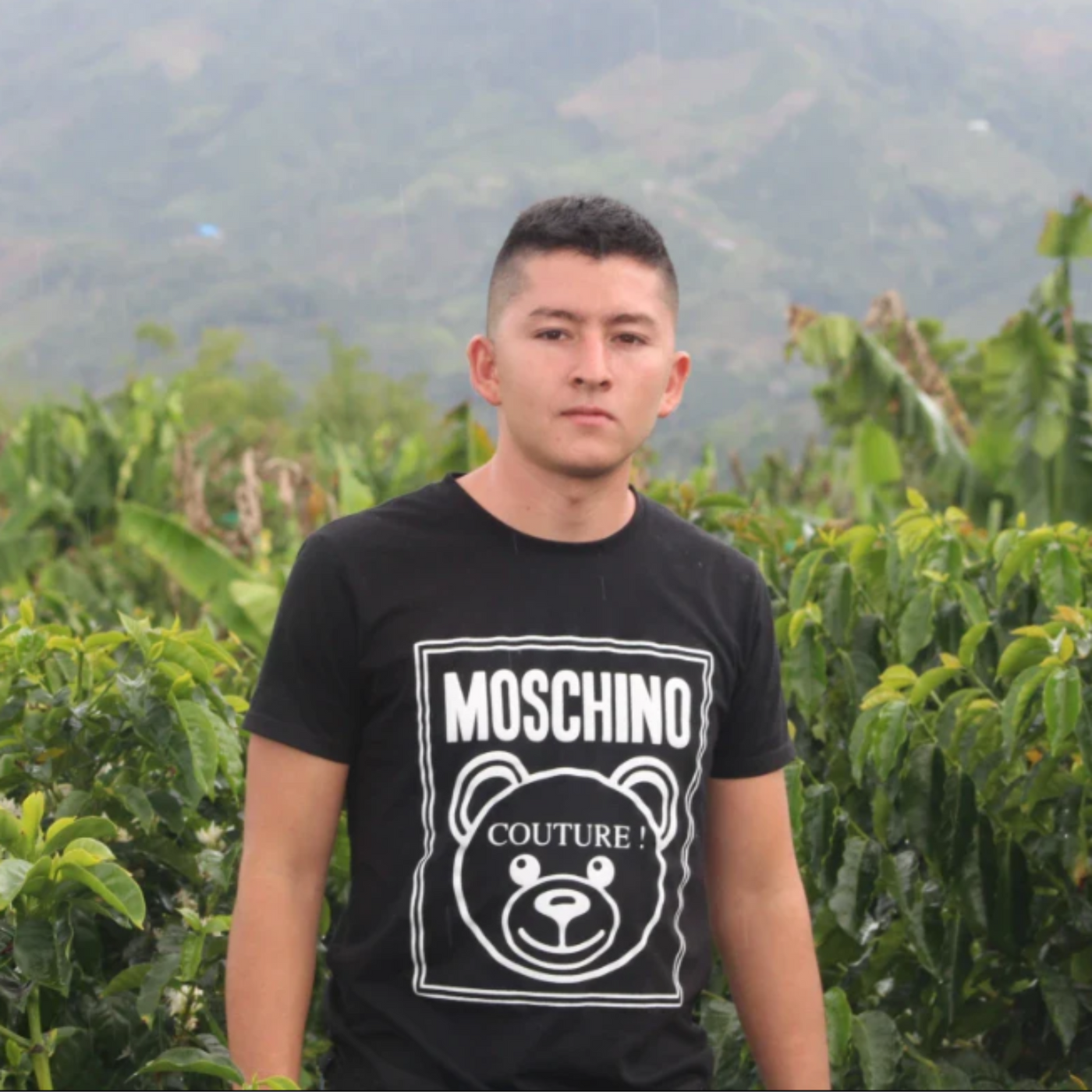 Photo of Colombian coffee farmer, Brayan Alvear standing amid coffee plants