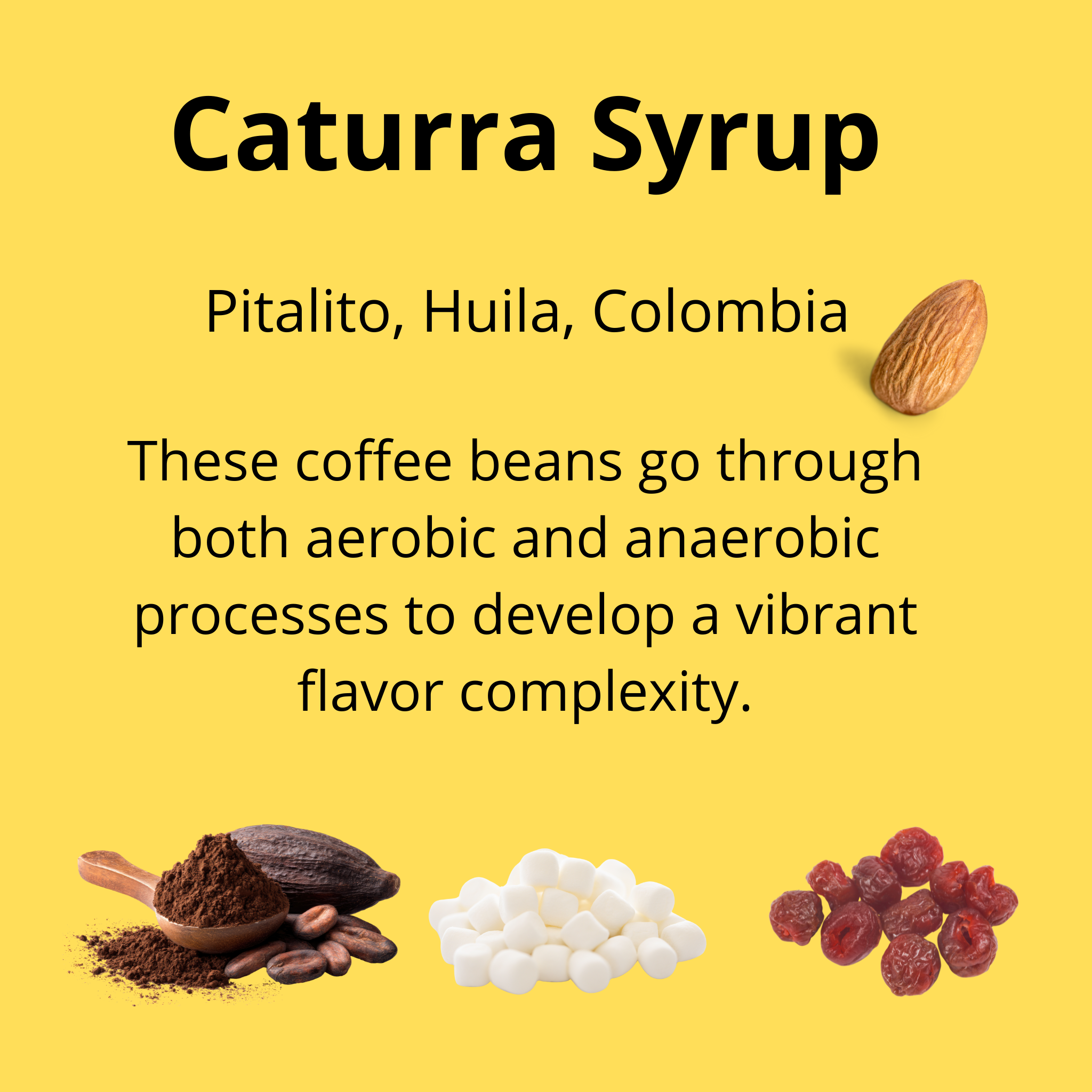 Caturra Syrup; origin Pitalito, Huila, Colombia; these coffee beans go through both aerobic and anaerobic processes to develop a vibrant flavor complexity; with tasting notes of dried cherries, almond, cacao and marshmallow