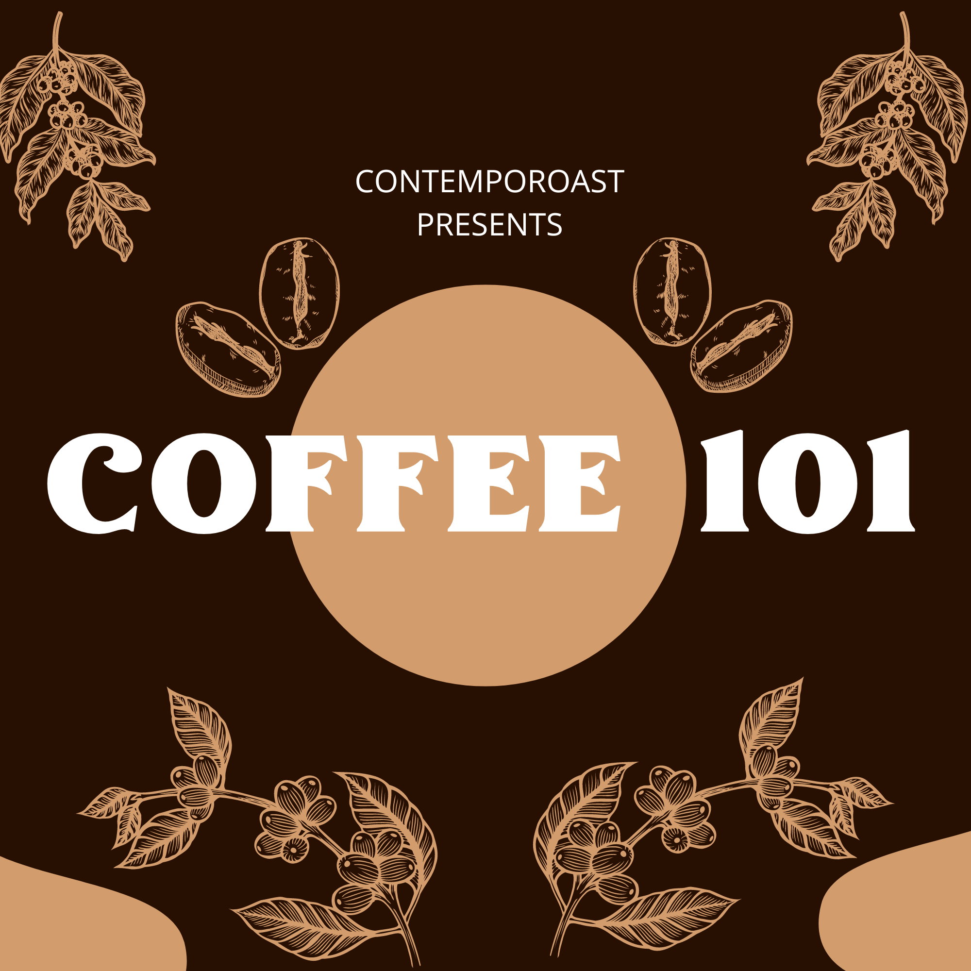 Coffee 101