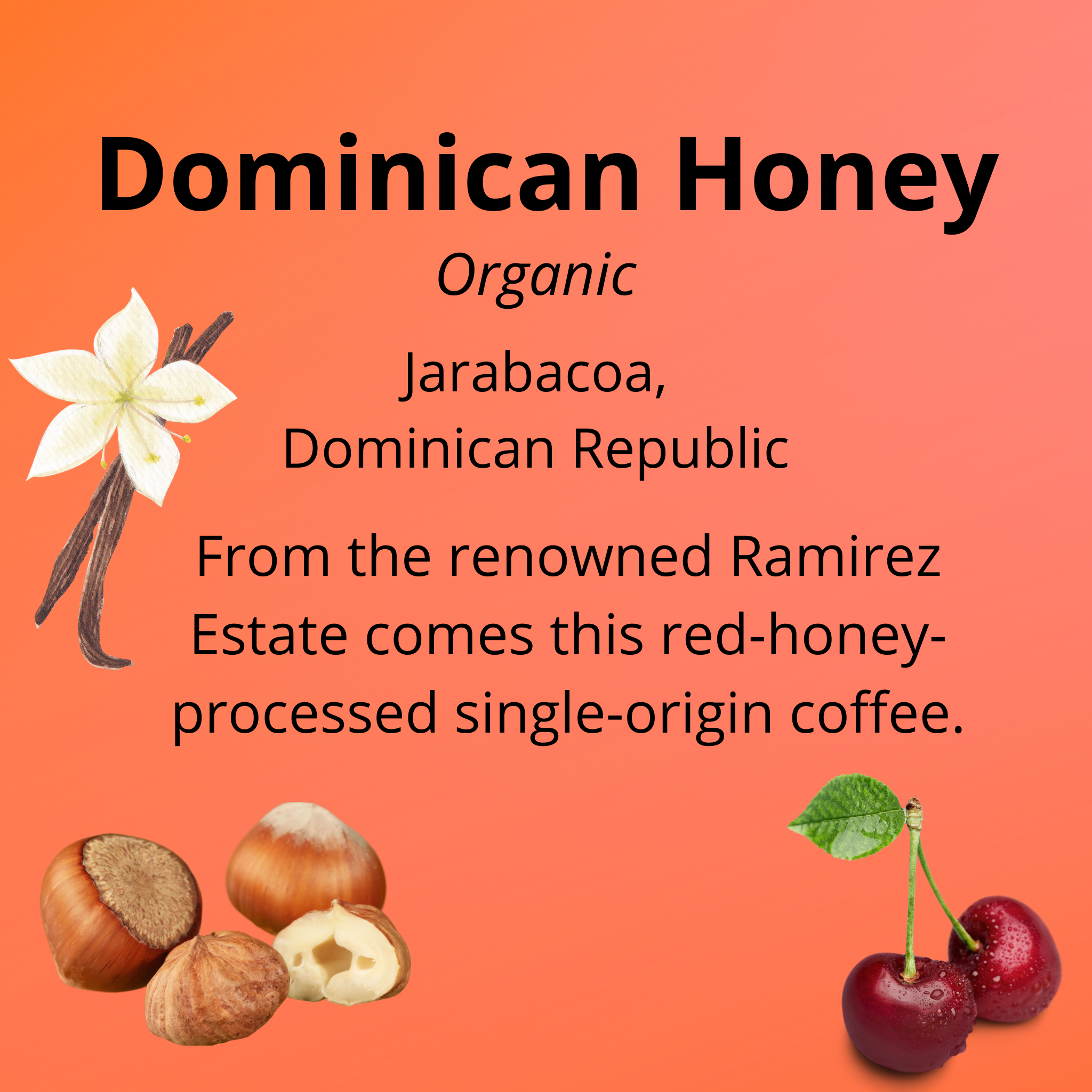 Dominican Honey, organic, Jarabacoa, Dominican Republic, from the renowned Ramirez Estate comes this red-honey-processed single-origin coffee; with tasting notes of vanilla, cherries, and hazelnuts
