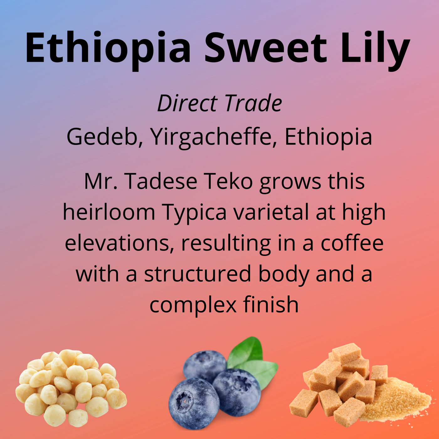 Ethiopia Sweet Lily
direct trae
Gedeb, Yirgacheffe, Ethiopia
Mr Tadese Teko grows this heirloom Typica varietal at high elevations, resulting in a coffee with a structured body and a complex finish; with tasting notes of macadamia, blueberry and brown sugar