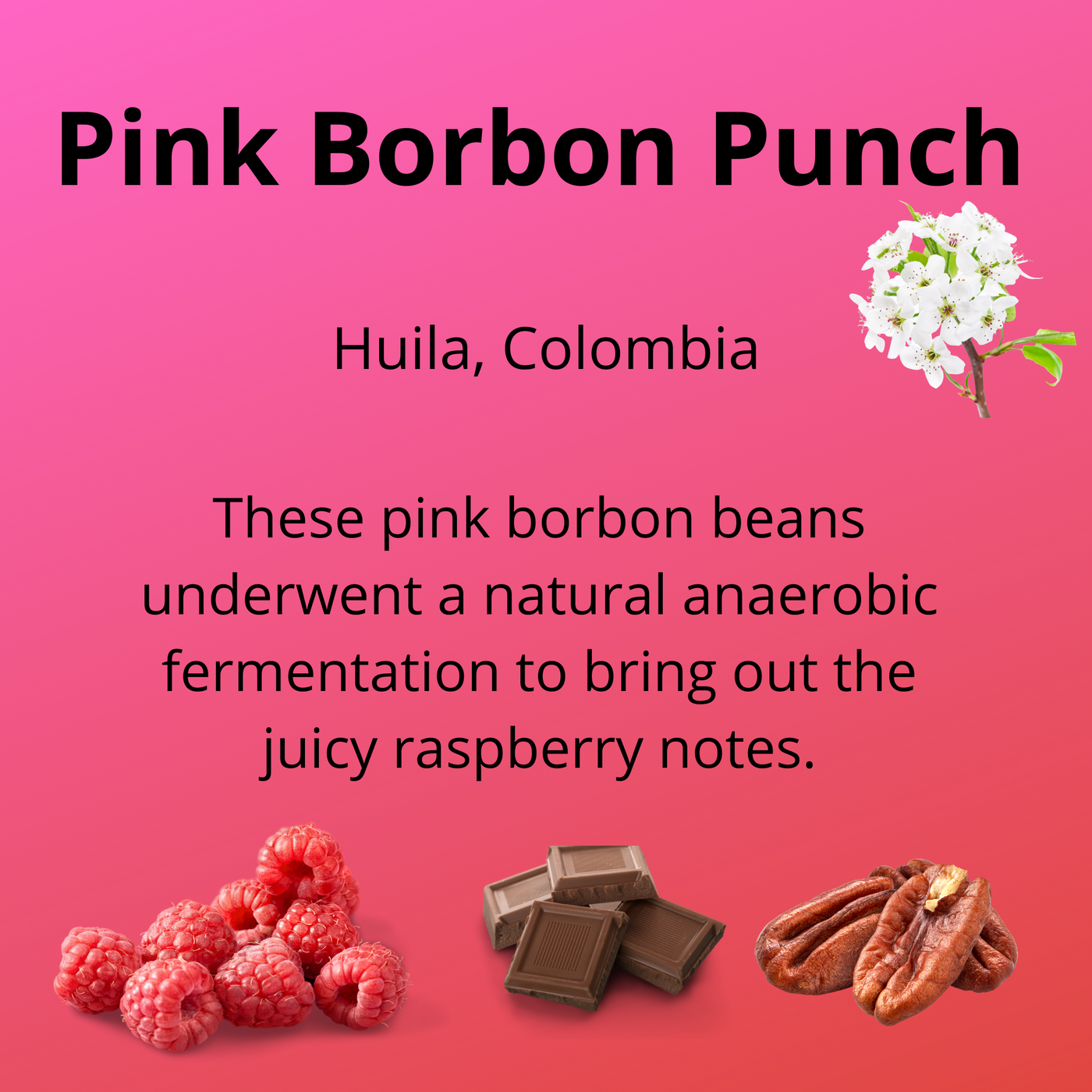 Pink Borbon Punch, Huila, Colombia, these pink borbon beans underwent a natural anaerobic fermentation to bring out the juicy raspberry notes, tasting notes, elderflower, raspberries, milk chocolate, pecans