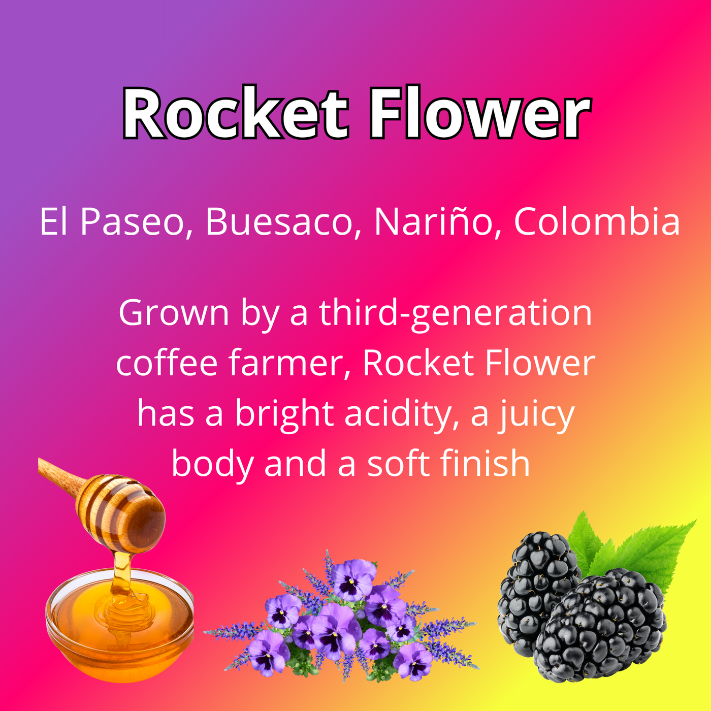 Rocket Flower;
El Paseo, Buesaco, Nariño, Colombia;
Grown by a third-generation coffee farmer, Rocket Flower has a bright acidity, a juicy body and a soft finish; with blackberry, honey and floral tasting notes