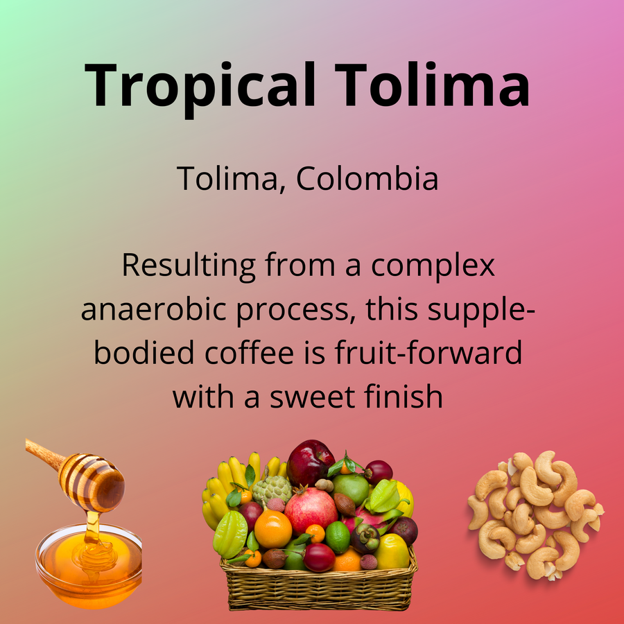 Tropical Tolima from Tolima, Colombia; resulting from a complex anaerobic process, this supple-bodied coffee is fruit-forward with a sweet finish; with tasting notes of honey, tropical fruit and cashew